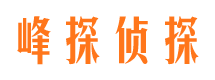 眉县峰探私家侦探公司